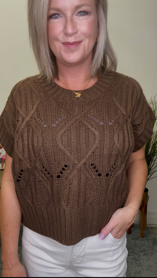 Your Best Bet Short Sleeve Sweater - Brown
