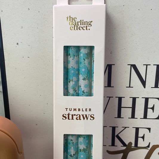 40 oz Tumbler Straws Set